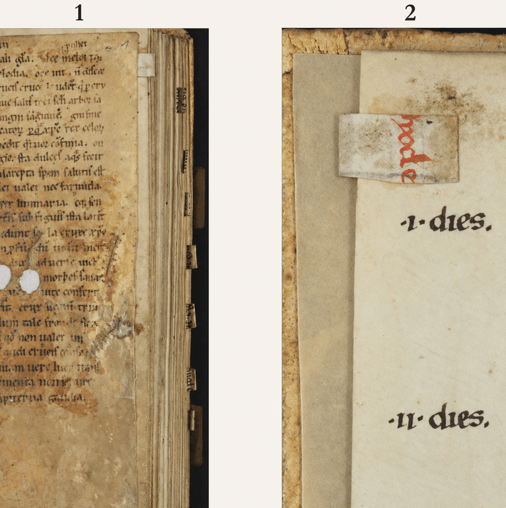 Fragmentary placeholders of Ms. 2008 B 113