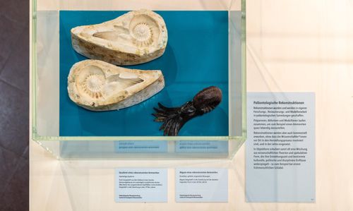 Paläontologische Rekonstruktionen